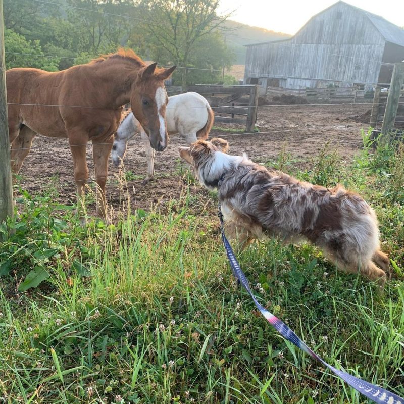 Chaely making friends!